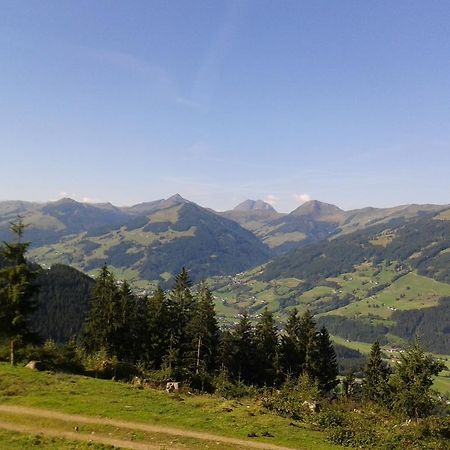 Отель Alpenhof Кирхберг Экстерьер фото