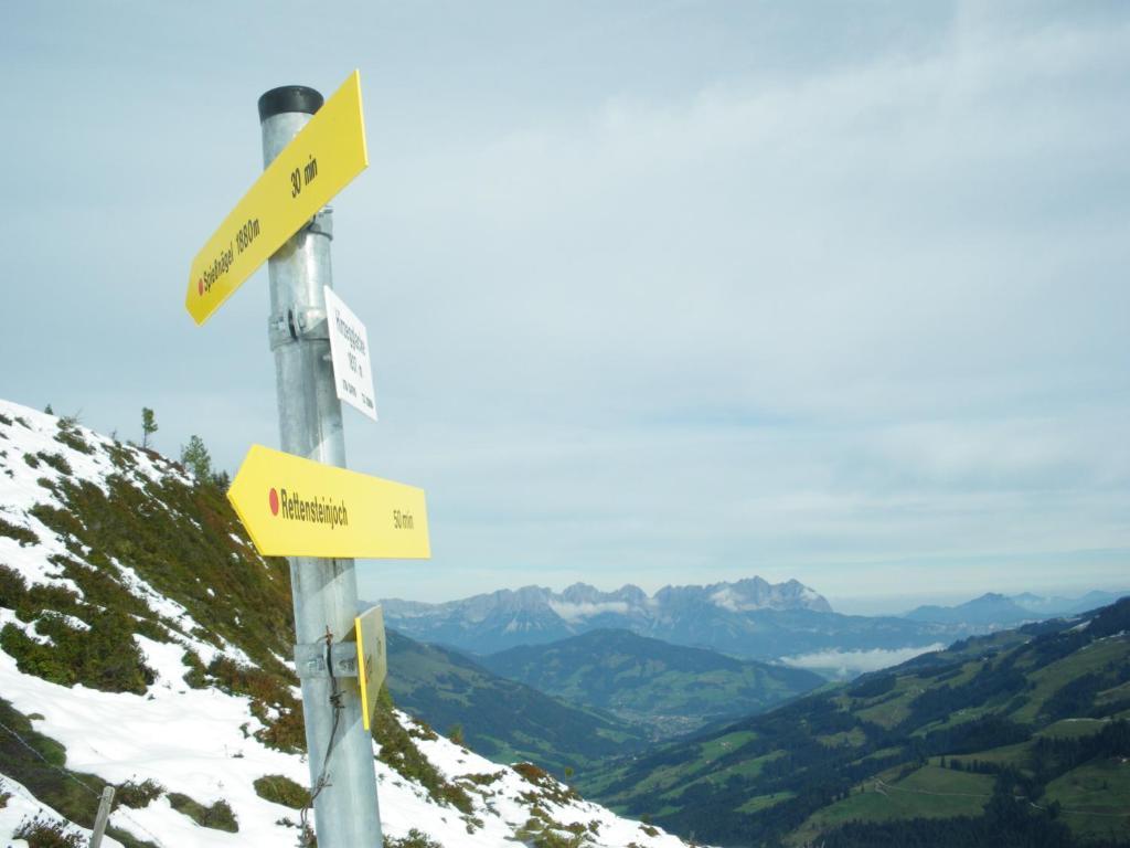 Отель Alpenhof Кирхберг Экстерьер фото